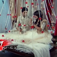 Laal Ishq11