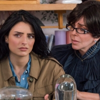 La casa de las flores6