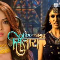 Vish Ya Amrit Sitara8